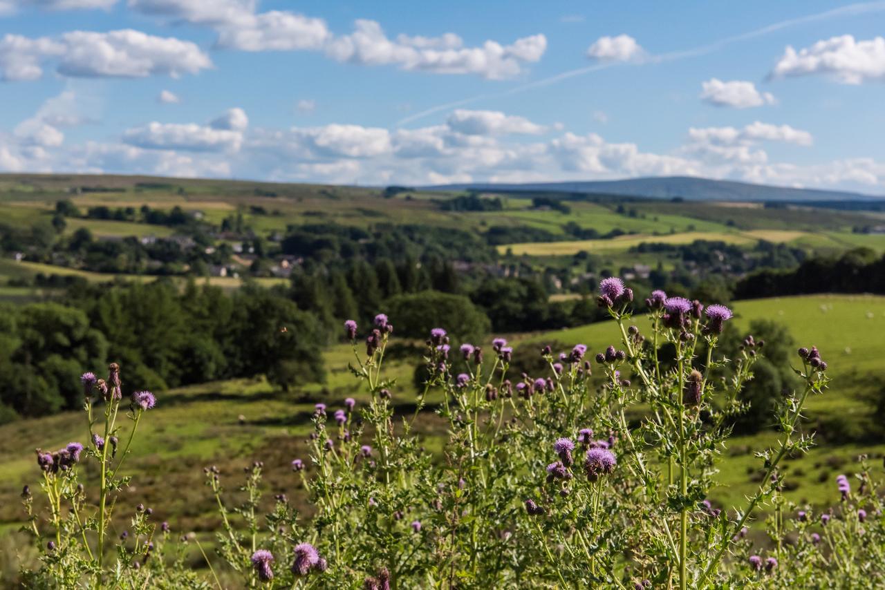 Hotel Gilsland Hall Carlisle (Cumbria)
